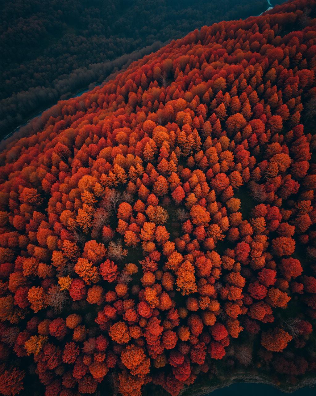 Ozark hillside · Eureka Springs